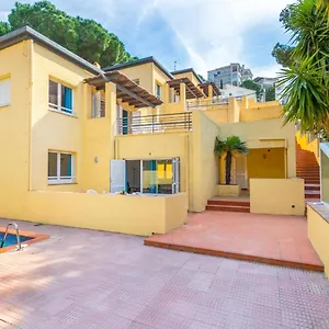Velazquez-2 By Interhome Roses